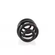 GH GH-224707 - Ressort de suspension 