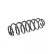 GH GH-229955 - Ressort de suspension 
