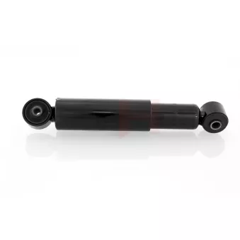 Jeu de 2 amortisseurs arrière GH OEM 50706065