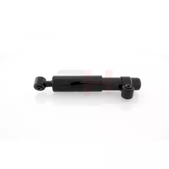 Jeu de 2 amortisseurs arrière GH OEM 7705508