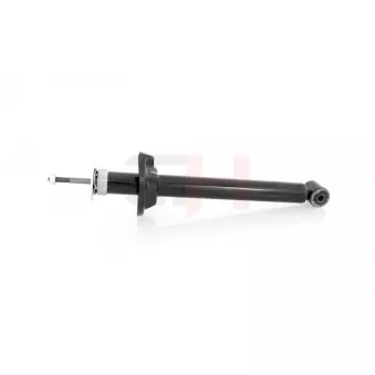 Jeu de 2 amortisseurs arrière GH OEM 95AX18K076CC