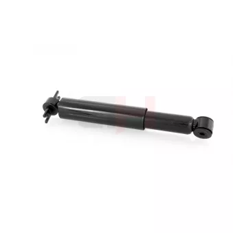 Jeu de 2 amortisseurs arrière GH OEM 7385548