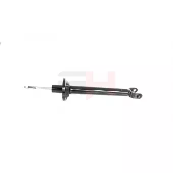 Jeu de 2 amortisseurs arrière GH OEM 1036555