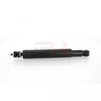 Jeu de 2 amortisseurs arrière GH OEM 90349896