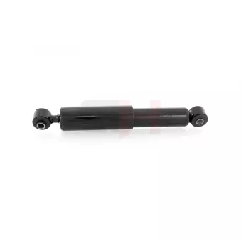 Jeu de 2 amortisseurs arrière GH OEM 7700802609