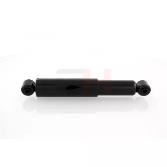 Jeu de 2 amortisseurs arrière GH OEM 4694782