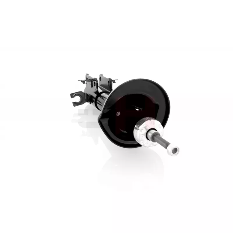 Jeu de 2 amortisseurs arrière GH GH-323276 - Visuel 1