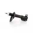 Amortisseur avant gauche GH [GH-325000V]