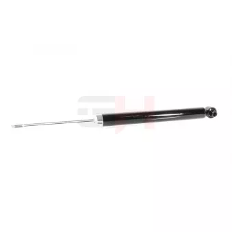Jeu de 2 amortisseurs arrière GH OEM 50508841