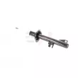 GH GH-331066 - Jeu de 2 amortisseurs avant
