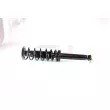 GH GH-331560C01 - Jambe de suspension 