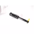 GH GH-331560C01 - Jambe de suspension 