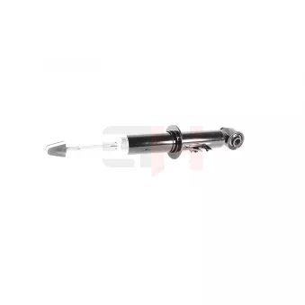 Jeu de 2 amortisseurs arrière GH OEM 6784520