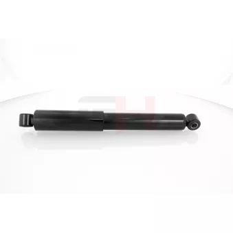 Jeu de 2 amortisseurs arrière GH OEM 1330763080