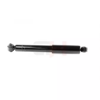 Jeu de 2 amortisseurs arrière GH OEM 52076374