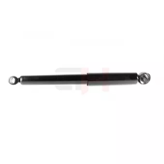 Jeu de 2 amortisseurs arrière GH OEM 51940220