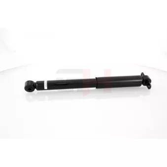 Jeu de 2 amortisseurs arrière GH OEM 7385548