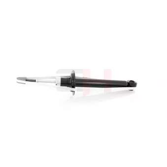 Jeu de 2 amortisseurs arrière GH GH-333028