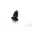GH GH-333060C02 - Jambe de suspension 