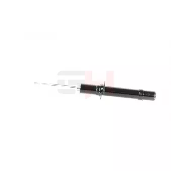 Jeu de 2 amortisseurs avant GH OEM 546113L770