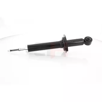 Jeu de 2 amortisseurs arrière GH OEM 553113D602