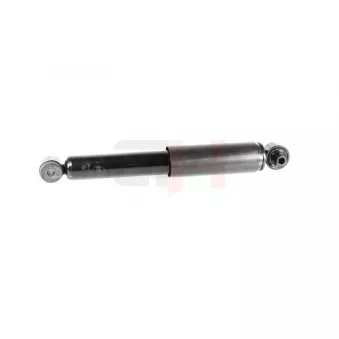 Jeu de 2 amortisseurs arrière GH OEM 436607