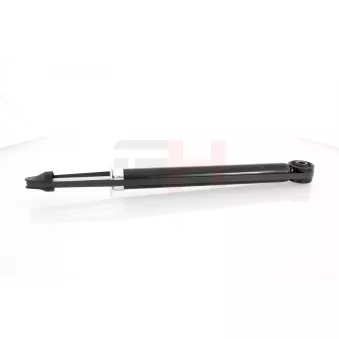Jeu de 2 amortisseurs arrière GH OEM 13279265