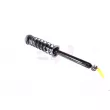 GH GH-333971C01 - Jambe de suspension 