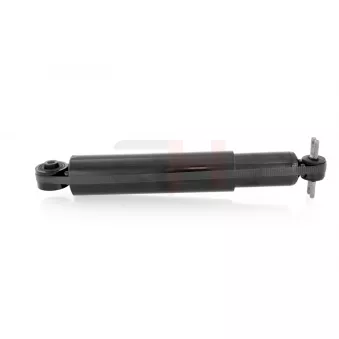 Jeu de 2 amortisseurs avant GH OEM RNB103533
