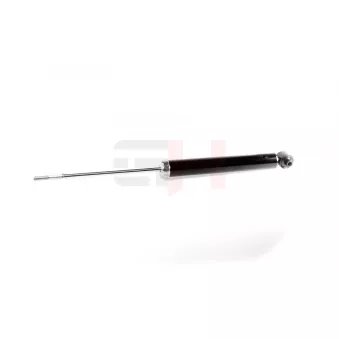 Jeu de 2 amortisseurs arrière GH OEM 4853009W20