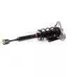 GH GH-334702C02 - Jambe de suspension 
