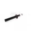 GH GH-334724 - Jeu de 2 amortisseurs avant