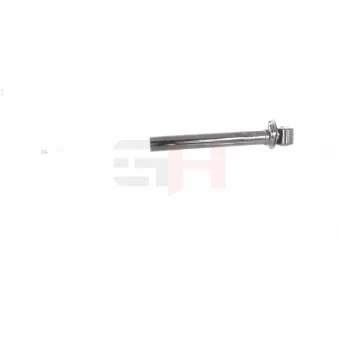 Jeu de 2 amortisseurs arrière GH OEM 8A9513029E