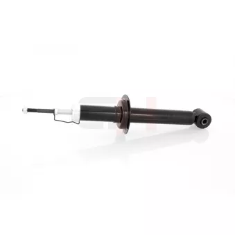 Jeu de 2 amortisseurs arrière GH OEM 30618110