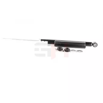 Jeu de 2 amortisseurs arrière GH OEM 71746614