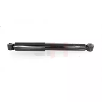 Jeu de 2 amortisseurs arrière GH OEM 9193868