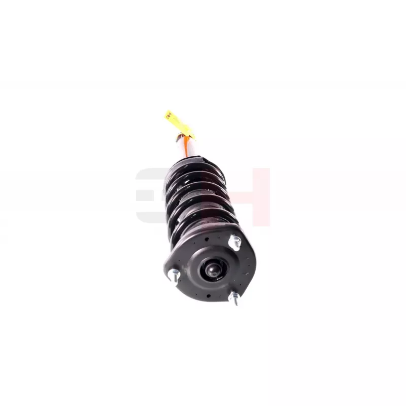 Jambe de suspension GH GH-336319C01 - Visuel 1