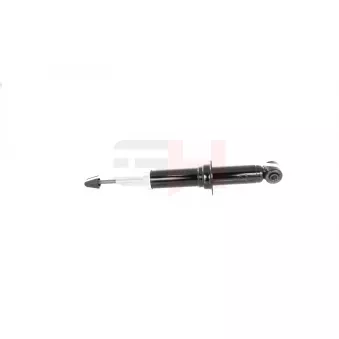 Jeu de 2 amortisseurs arrière GH OEM 5105106AG