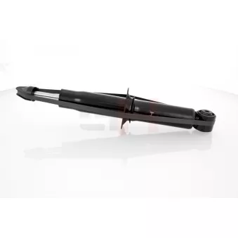 Jeu de 2 amortisseurs arrière GH OEM 95533305140