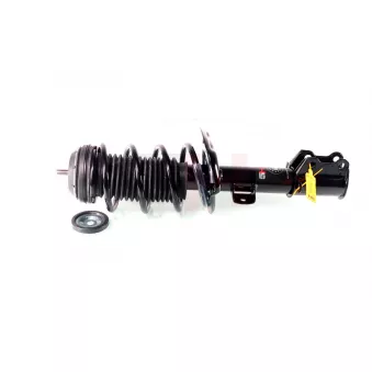 Jambe de suspension GH OEM 50508919