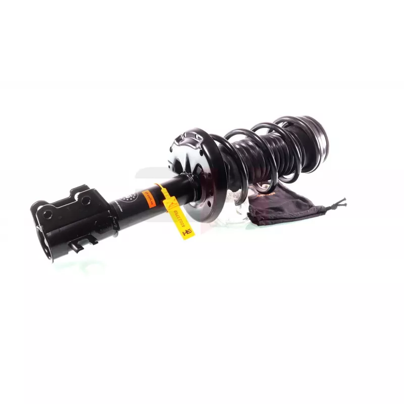 Jambe de suspension GH GH-351011C01 - Visuel 2