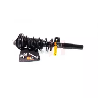 Jambe de suspension GH OEM 6880099