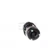 GH GH-351539C03 - Jambe de suspension 