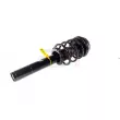 GH GH-351561C02 - Jambe de suspension 