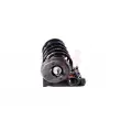 GH GH-351902C03 - Jambe de suspension 