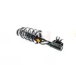 GH GH-352344C01 - Jambe de suspension 