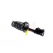 GH GH-352360C03 - Jambe de suspension 