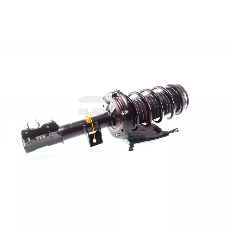 Jambe de suspension GH GH-352386C01 - Visuel 2