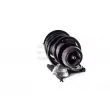 GH GH-352506C01 - Jambe de suspension 