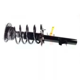 Jambe de suspension GH OEM 1539849